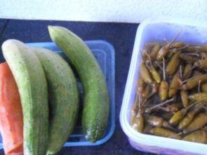 泡泡瓜怎么吃,解锁美味新体验