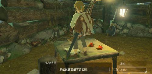 塞尔达女城吃瓜,一场吃瓜盛宴背后的故事