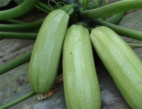 吃瓜情报处最新,吃瓜情报处最新爆料大汇总