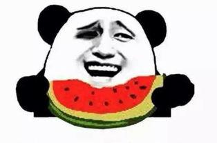 阿也吃瓜,揭秘娱乐圈那些不为人知的幕后故事