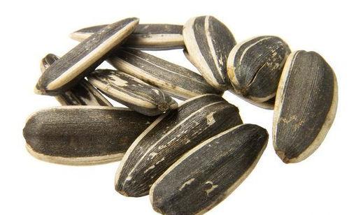 瓜子跨界吃瓜,一场跨界融合的美食盛宴