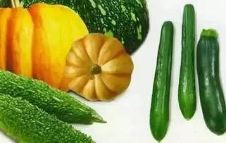 瓜宝吃翻天,一场美食盛宴的奇幻之旅