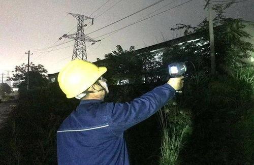 广西电力吃瓜,瓜分能源市场，助力绿色发展