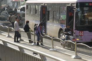 公交站台吃瓜,一幕幕人间烟火