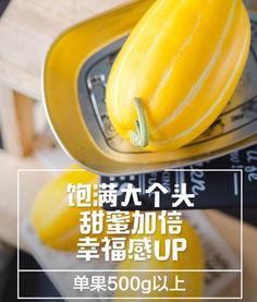 5吃瓜吃瓜北京朝阳