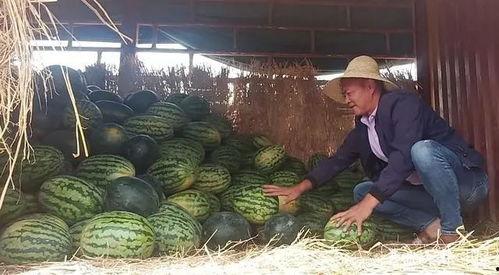 昆明摩友吃瓜,一场吃瓜盛宴背后的摩圈风云